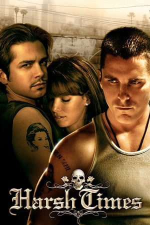 Harsh Times 2005 Hindi Dual Audio HDRip 720p – 480p