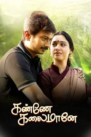 Kanne Kalaimaane 2019 (Hindi - Tamil) Dual Audio 480p UnCut HDRip 450MB