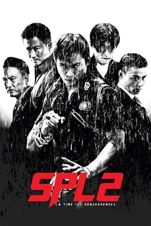 Kill Zone 2 (2015) Hindi Dual Audio 720p BluRay [1.5GB] ESubs