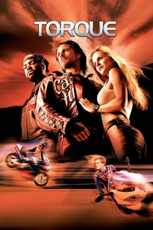 Torque 2004 Hindi Dual Audio BRRip 720p [600MB] Download