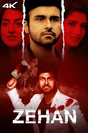 Zehan 2024 Hindi HDRip 720p – 480p