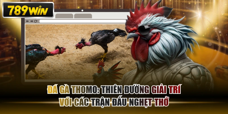 Đá Gà Thomo: Thiên Đường Giải Trí Với Các Trận Đấu Nghẹt Thở