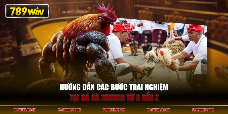 Hướng dẫn các bước trải nghiệm tại Đá Gà 789WIN từ A đến Z